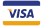 Visa payment icon